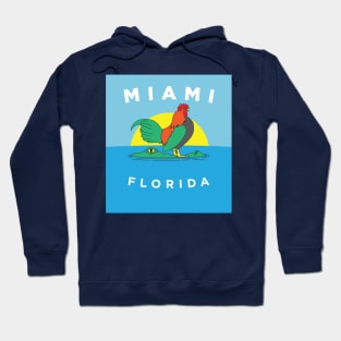 Miami Bandera Hoodie